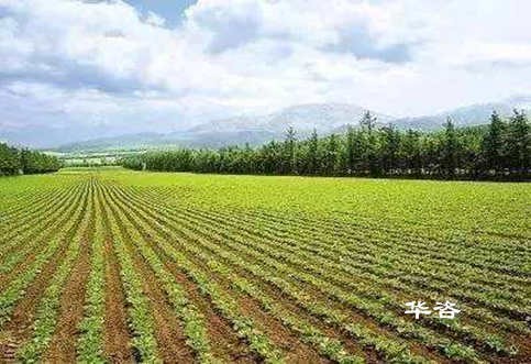 湖南城鄉建設用地增減掛鉤技術服務單位_提高復墾后耕地質量的思考