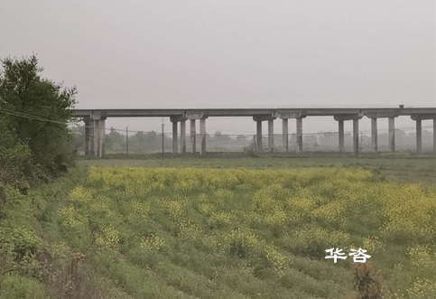 好消息！華咨公司測量團隊再次交付岳陽、常德項目水下地形圖測量成果