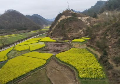 益陽地質災害安全性評估單位，益陽地災評估，地災評價機構